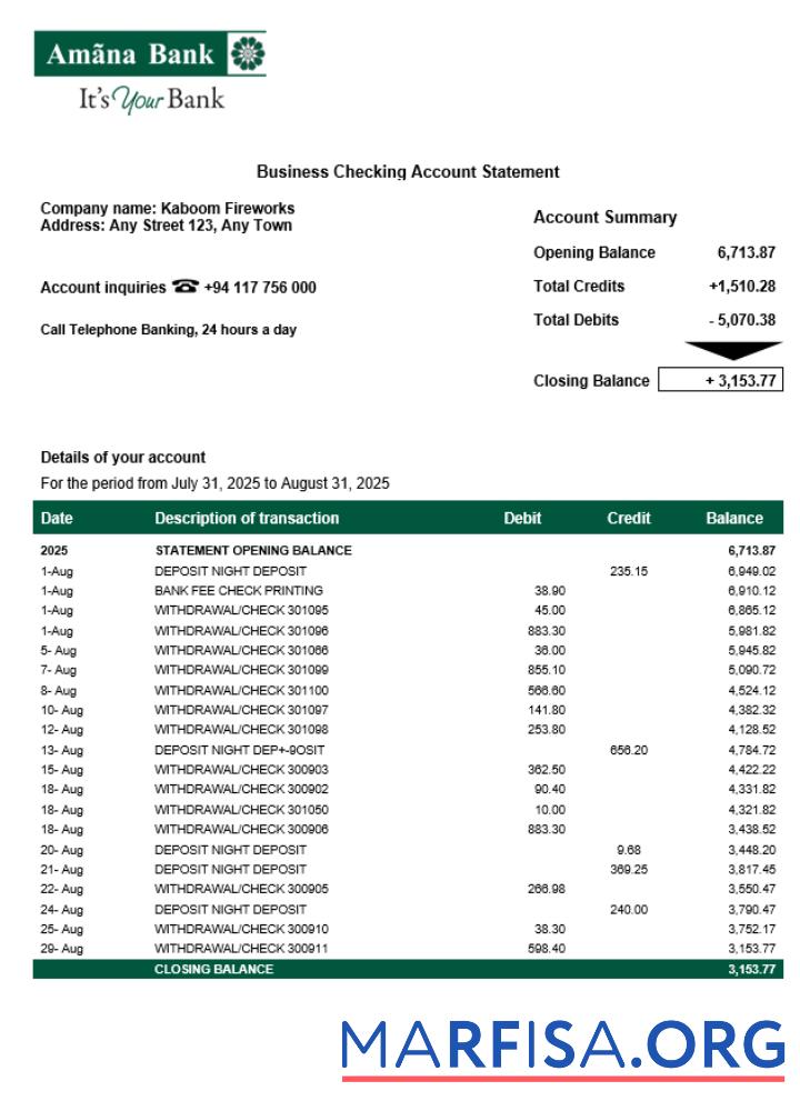 Realistic Sri Lanka Amana organization statement Word and PDF template
